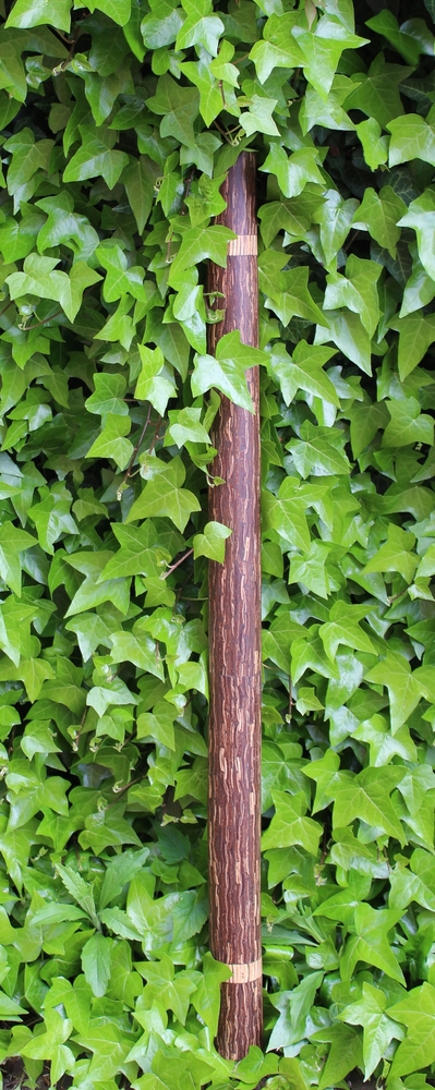 Regenstok 100cm kokospalm hout - Indonesie