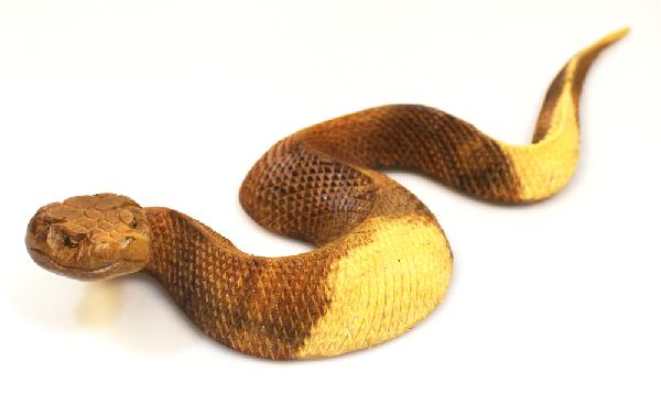 Dier Slang hout kruipend 30 cm, LW Bali - Indonesie