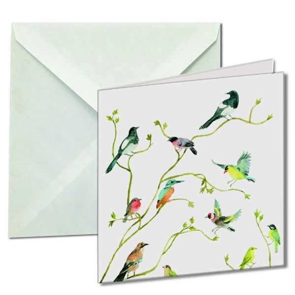 Amnesty Kaartenmapje Bloemen en Vlinders, en Vogels 10 dubbele kaarten