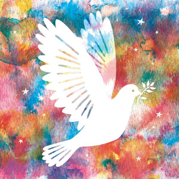 Amnestykaarten Rainbow Dove