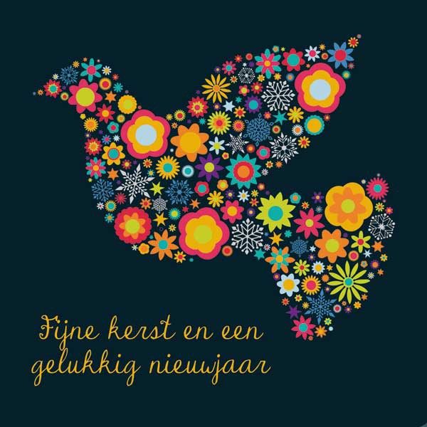 Amnesty Kerstkaart Bright Doves set/10