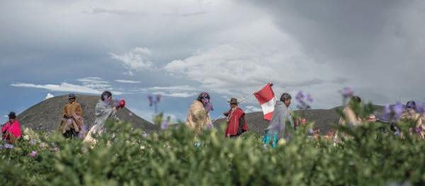 Kalender 2026 Oxfam-Novibkalender, 60 x 26 cm