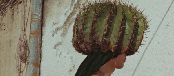 Kalender 2026 Oxfam-Novibkalender, 60 x 26 cm