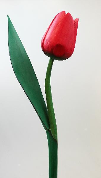 Bloem hout Tulp H 45cm - Indonesie